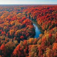 Bria FIBO — An aerial view of a winding river through autumn f