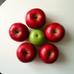 FLUX.2 [dev] — Five red apples arranged in a circle on a white ta