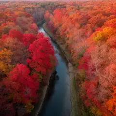 FLUX.2 [dev] — An aerial view of a winding river through autumn f