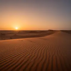 FLUX.2 [dev] — A desert sand dune at sunset with long shadows, Sa