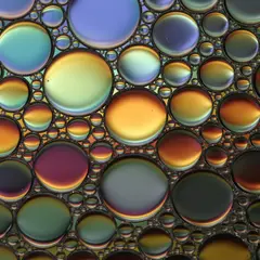 FLUX.2 [max] — A macro photograph of oil droplets on water, iride