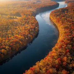 FLUX.2 [max] — An aerial view of a winding river through autumn f