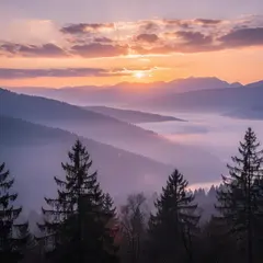 FLUX.2 [pro] — A misty mountain range at sunrise, layers of purpl