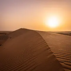 FLUX.2 [pro] — A desert sand dune at sunset with long shadows, Sa