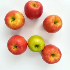 FLUX.1 [schnell] — Five red apples arranged in a circle on a white ta