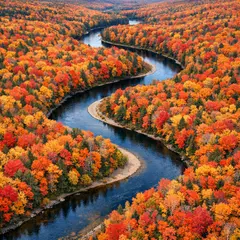 GPT Image 1.5 — An aerial view of a winding river through autumn f