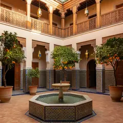 Grok Imagine — A traditional riad courtyard with intricate zellig