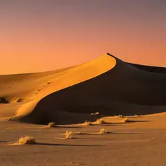 Grok Imagine — A desert sand dune at sunset with long shadows, Sa
