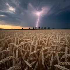 Ideogram V3 Turbo — A vast wheat field under a dramatic thunderstorm s