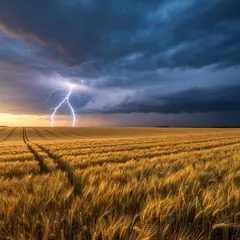 Imagen 4 Fast — A vast wheat field under a dramatic thunderstorm s