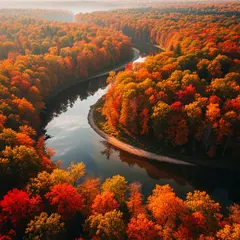 Imagen 4 Ultra — An aerial view of a winding river through autumn f
