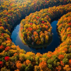 Imagen 4 — An aerial view of a winding river through autumn f