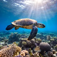 ImagineArt 1.5 — A giant sea turtle swimming over a coral reef, und