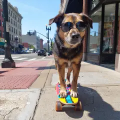 ImagineArt 1.5 — A dog wearing sunglasses riding a skateboard down 
