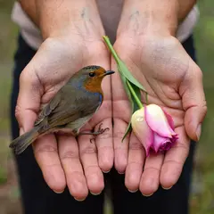 ImagineArt 1.5 — A bird perched on the left hand of a person, the r