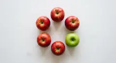 Gemini 3.1 Flash Image — Five red apples arranged in a circle on a white ta