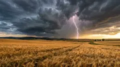 Gemini 3.1 Flash Image — A vast wheat field under a dramatic thunderstorm s