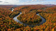 Gemini 3.1 Flash Image — An aerial view of a winding river through autumn f