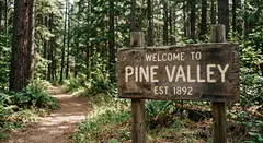 Gemini 3.1 Flash Image — A weathered wooden sign reading WELCOME TO PINE VA