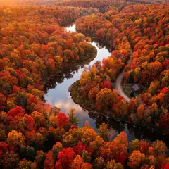 Gemini 3 Pro Image — An aerial view of a winding river through autumn f