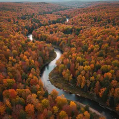 Gemini 2.5 Flash Image — An aerial view of a winding river through autumn f