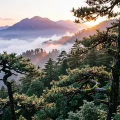 Qwen Image 2.0 — A misty mountain range at sunrise, layers of purpl