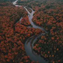Qwen Image — An aerial view of a winding river through autumn f