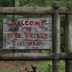 Qwen Image — A weathered wooden sign reading WELCOME TO PINE VA