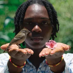 Recraft V4 — A bird perched on the left hand of a person, the r