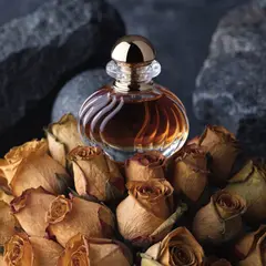 Recraft V4 — A bottle of amber perfume on a bed of dried roses,