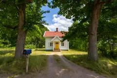 Reve v1.0 — A small house between two tall trees, with a path 