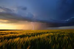 Reve v1.0 — A vast wheat field under a dramatic thunderstorm s