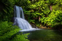 Reve v1.0 — A waterfall cascading into a tropical pool surroun