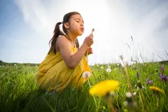 Reve v1.0 — A child blowing dandelion seeds in a sunlit meadow