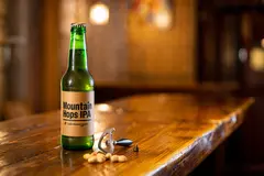 Reve v1.0 — A green glass bottle of craft beer with condensati