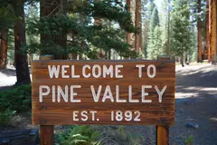 Reve v1.0 — A weathered wooden sign reading WELCOME TO PINE VA