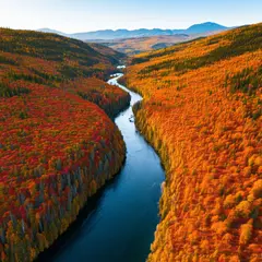 SD 3.5 Large — An aerial view of a winding river through autumn f