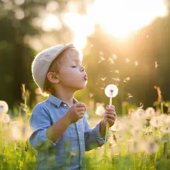 SD 3.5 Large — A child blowing dandelion seeds in a sunlit meadow