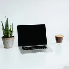 SD 3.5 Large — A sleek laptop on a clean white desk with a potted