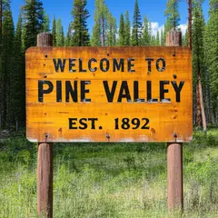 SD 3.5 Large — A weathered wooden sign reading WELCOME TO PINE VA