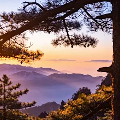 Seedream v4.5 — A misty mountain range at sunrise, layers of purpl