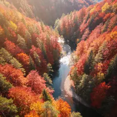 Seedream v4.5 — An aerial view of a winding river through autumn f