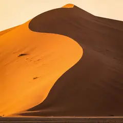 Seedream v4.5 — A desert sand dune at sunset with long shadows, Sa