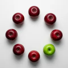 Wan 2.6 T2I — Five red apples arranged in a circle on a white ta