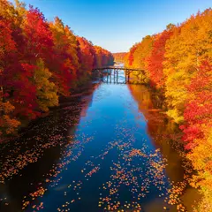 Wan 2.6 T2I — An aerial view of a winding river through autumn f