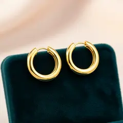 Wan 2.6 T2I — A pair of gold hoop earrings on a velvet jewelry d