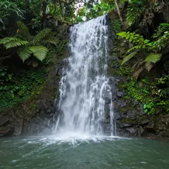 Z-Image Turbo — A waterfall cascading into a tropical pool surroun