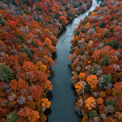 Z-Image Turbo — An aerial view of a winding river through autumn f