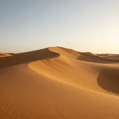 Z-Image Turbo — A desert sand dune at sunset with long shadows, Sa