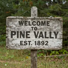 Z-Image Turbo — A weathered wooden sign reading WELCOME TO PINE VA